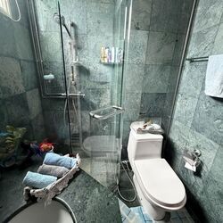 Crystal Rhu (D15), Apartment #621500501